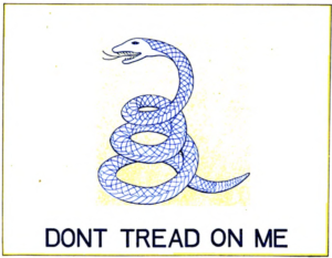 Naval flag with rattlesnake and words "Don't Tread On Me"